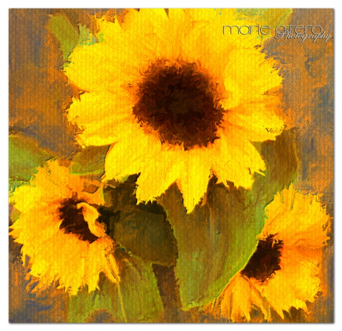 sunflowers-otero-fb